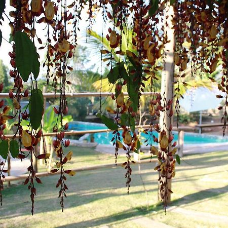 Pousada Recanto Da Estacao São João da Boa Vista Exterior foto
