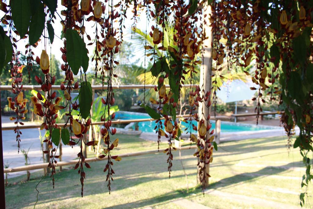 Pousada Recanto Da Estacao São João da Boa Vista Exterior foto